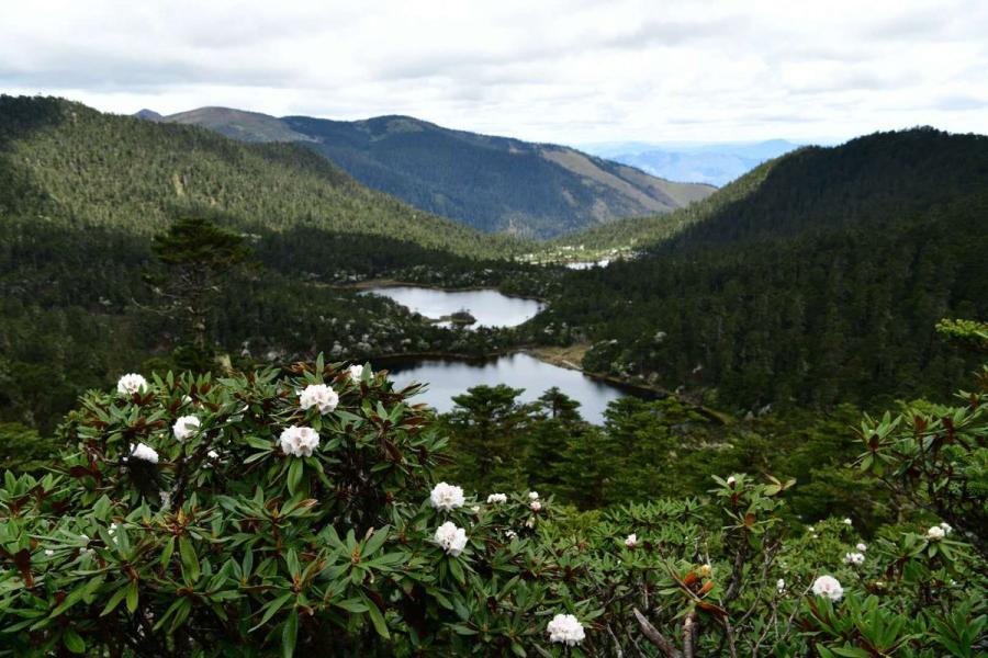 The park\'s unique location, at the Three Parallel Rivers of Yunnan Protected Areas, a UNESCO World Heritage Site, contributes to its stunning landscapes, ranging from steep cliffs and dense forests to majestic lakes, alongside a rich ecosystem of flora and fauna. (Photo provided to chinadaily.com.cn)