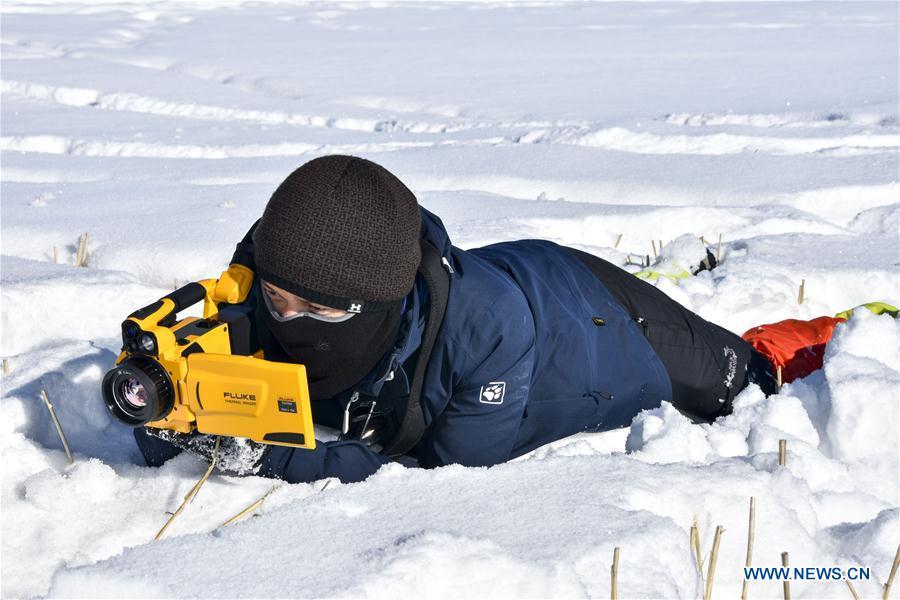 Researcher Yang Tao collects data of snow cover in Zhaosu County, northwest China\'s Xinjiang Uygur Autonomous Region, Jan. 19, 2019. A nine-member research team with an average age under 30 from the Xinjiang Institute of Ecology and Geography under the Chinese Academy of Sciences started a research on snow cover on the Tianshan Mountains in Xinjiang. Snow cover on the Tianshan Mountains is an important source of water resources. Snowmelt provides an abundant water supply for river flow in this area and also affects the ecological system of agricultural and animal husbandry production in the downstream oasis. (Xinhua/Bai Jiali)