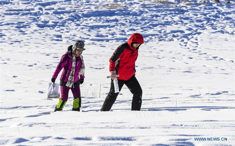Researchers Huang Farong (L) and Xia Weijing walk in snow in Zhaosu County, northwest China\'s Xinjiang Uygur Autonomous Region, Jan. 19, 2019. A nine-member research team with an average age under 30 from the Xinjiang Institute of Ecology and Geography under the Chinese Academy of Sciences started a research on snow cover on the Tianshan Mountains in Xinjiang. Snow cover on the Tianshan Mountains is an important source of water resources. Snowmelt provides an abundant water supply for river flow in this area and also affects the ecological system of agricultural and animal husbandry production in the downstream oasis. (Xinhua/Hu Huhu)