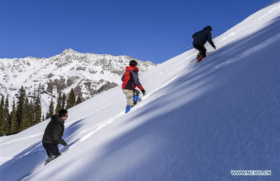 Researchers walk in snow in Hejing County, northwest China\'s Xinjiang Uygur Autonomous Region, Jan. 20, 2019. A nine-member research team with an average age under 30 from the Xinjiang Institute of Ecology and Geography under the Chinese Academy of Sciences started a research on snow cover on the Tianshan Mountains in Xinjiang. Snow cover on the Tianshan Mountains is an important source of water resources. Snowmelt provides an abundant water supply for river flow in this area and also affects the ecological system of agricultural and animal husbandry production in the downstream oasis. (Xinhua/Hu Huhu)