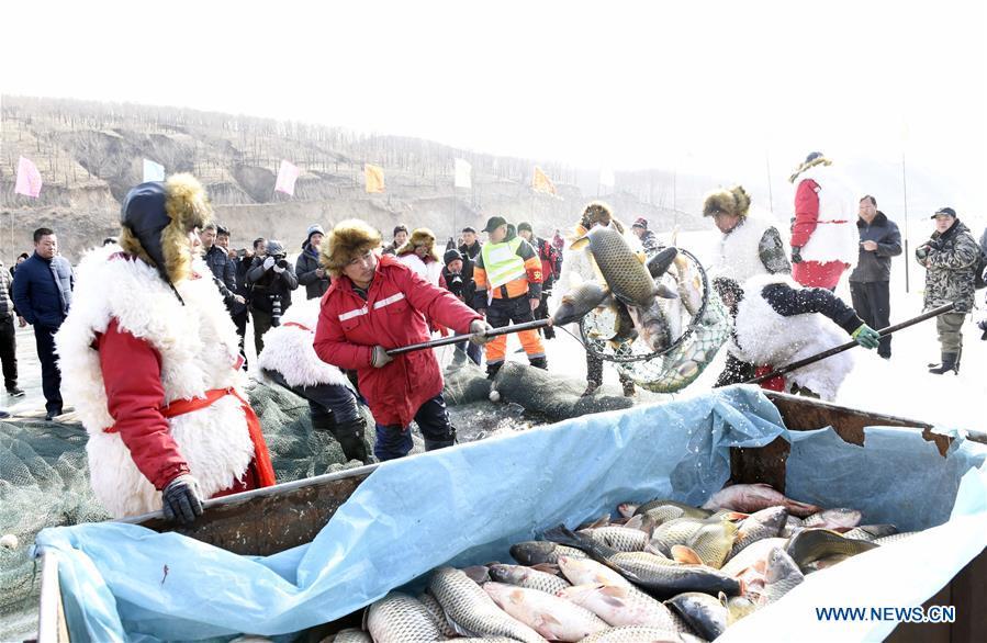 Inheritors of Chagan Lake winter fishing heritage catch fish in Qianyaozi Reservoir in Hohhot, capital of north China\'s Inner Mongolia Autonomous Region, Jan. 26, 2019. A two-day winter fishing tourism festival opened here on Saturday, during which 18 inheritors of Chagan Lake winter fishing showed visitors traditional ways of fishing. Winter fishing on ice-covered Chagan Lake dates back to the Liao and Jin dynasties from 10th century to the 13th century in China and was listed into the national intangible cultural heritage in 2008. (Xinhua/Wang Zheng)