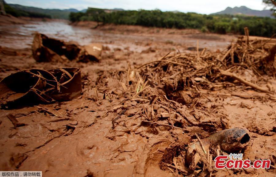 A fish is seen on mud after a tailings dam owned by Brazilian miner Vale SA burst, in Brumadinho, Brazil January 27, 2019. (Photo/Agencies)