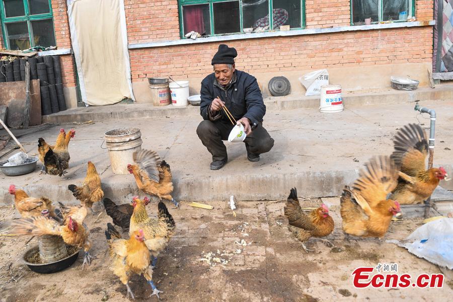 Li Tieliang, 69, feeds hens before returning to work as an extra in a TV drama being shot in Beishanyun Village in Yushe County, North China’s Shanxi Province, Jan. 24, 2019. The village has more than 30 well-preserved buildings from the Ming and Qing dynasties, making it a good location to shoot historical film and TV dramas. In recent years, many locals have migrated to other places, while some remaining farmers have found work as extras. Li and his wife survive by farming, while their children work in other cities. Li now works part-time as an extra and earns about 100 yuan ($14) a day. (Photo: China News Service/Wu Junjie)