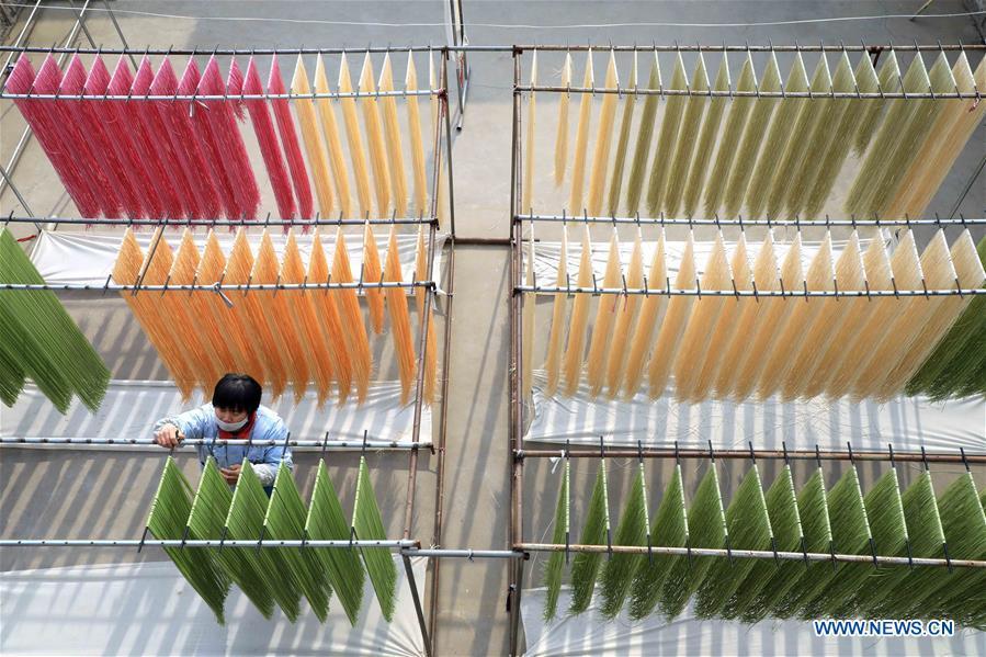 A staff member airs colored noodles at a workshop in Binzhou, east China\'s Shandong Province, Jan. 29, 2019. These noodles are naturally colored using vegetables or fruits such as carrot, spinach and dragon fruit. (Xinhua/Zhang Chunfeng)