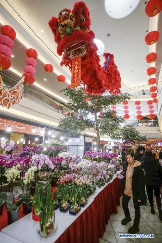 People shop for plants in preparing for the upcoming Chinese Lunar New Year at the 30th Chinese Lunar New Year Flower & Gift Fair in Richmond, Canada, Jan. 30, 2019. The seven-day Chinese Lunar New Year Flower & Gift Fair, west Canada\'s largest indoor Lunar New Year festivity, was opened on Tuesday. (Xinhua /Liang Sen)