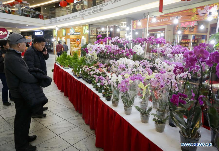People shop for plants to prepare for the upcoming Chinese Lunar New Year at the 30th Chinese Lunar New Year Flower & Gift Fair in Richmond, Canada, Jan. 30, 2019. The seven-day Chinese Lunar New Year Flower & Gift Fair, west Canada\'s largest indoor Lunar New Year festivity, was opened on Tuesday. (Xinhua /Liang Sen)