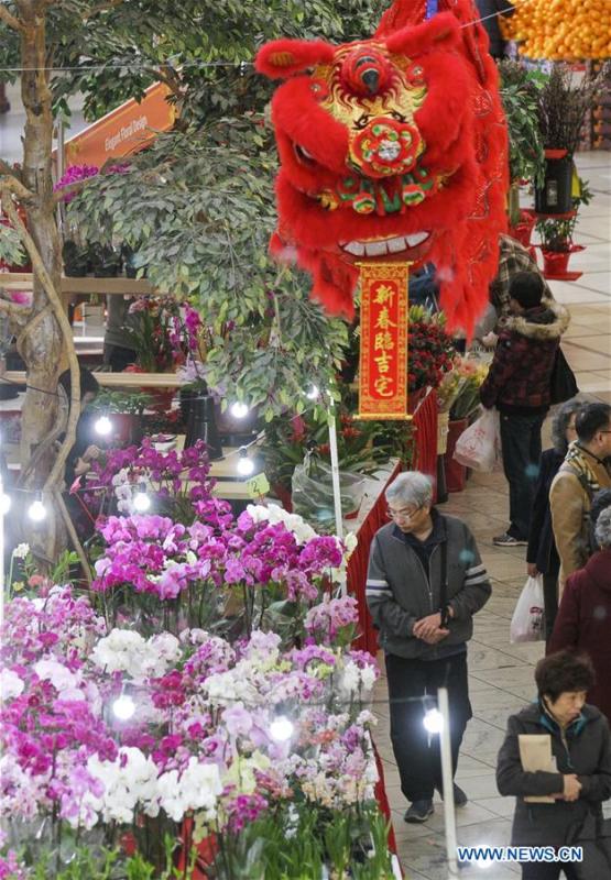 People shop for plants in preparing for the upcoming Chinese Lunar New Year at the 30th Chinese Lunar New Year Flower & Gift Fair in Richmond, Canada, Jan. 30, 2019. The seven-day Chinese Lunar New Year Flower & Gift Fair, west Canada\'s largest indoor Lunar New Year festivity, was opened on Tuesday. (Xinhua /Liang Sen)