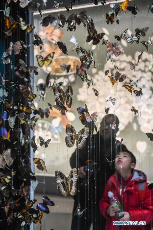 People visit the Anji Branch of Zhejiang Museum of Natural History in Anji County, east China\'s Zhejiang Province, Jan. 31, 2019. The museum attracts lots of visitors during the winter vacation. (Xinhua/Xu Yu)