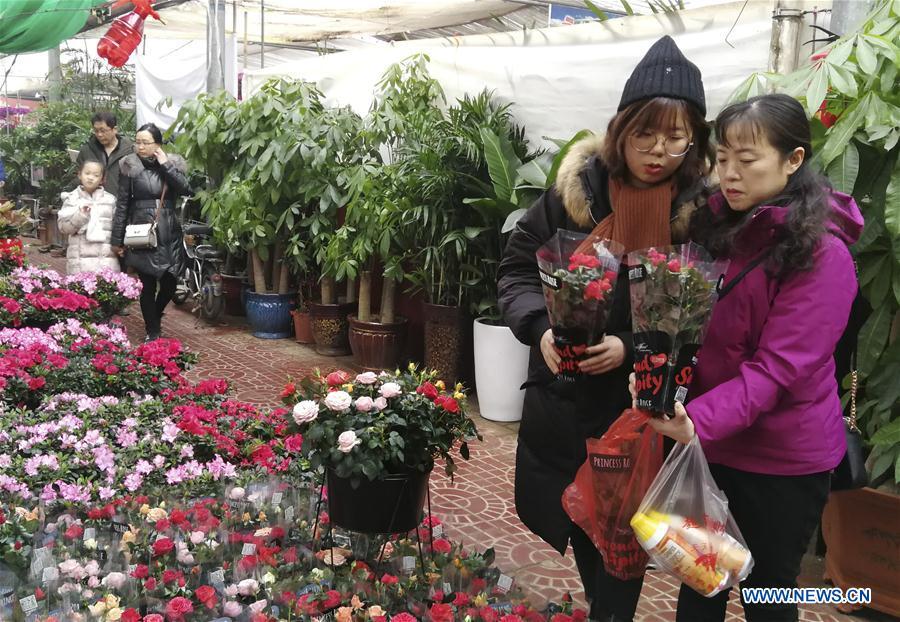 Customers select flowers at a flower market in Shijiazhuang, capital of north China\'s Hebei Province, Jan. 31, 2019. People in Shijiazhuang are busy buying flowers to decorate their home as a way to greet the upcoming Spring Festival, which falls on Feb. 5 this year. (Xinhua/Wang Baolong)