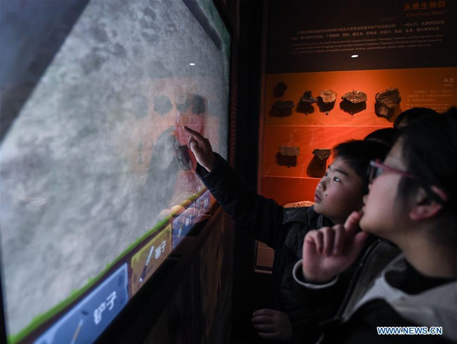 A boy plays a game at the Anji Branch of Zhejiang Museum of Natural History in Anji County, east China\'s Zhejiang Province, Jan. 31, 2019. The museum attracts lots of visitors during the winter vacation. (Xinhua/Xu Yu)