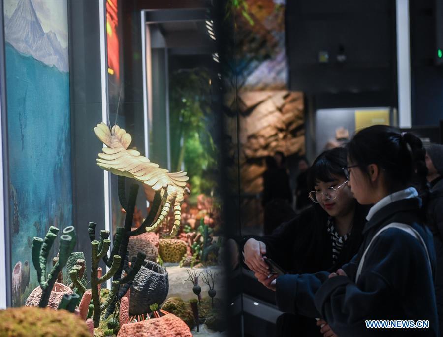 People visit the Anji Branch of Zhejiang Museum of Natural History in Anji County, east China\'s Zhejiang Province, Jan. 31, 2019. The museum attracts lots of visitors during the winter vacation. (Xinhua/Xu Yu)
