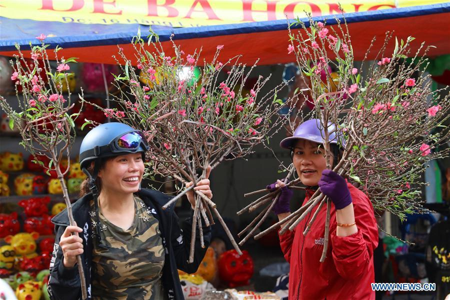 Vendors sell peach blossoms for the upcoming Lunar New Year in Hanoi, capital of Vietnam, Feb. 1, 2019. The Lunar New Year festival, also called Tet in Vietnamese, is one of the long-standing traditions of Vietnamese people. (Xinhua/Wang Di)
