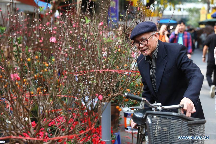 A man chooses peach blossoms for the upcoming Lunar New Year in Hanoi, capital of Vietnam, Feb. 1, 2019. The Lunar New Year festival, also called Tet in Vietnamese, is one of the long-standing traditions of Vietnamese people. (Xinhua/Wang Di)