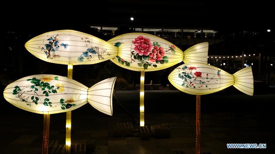 Fish-shaped lanterns are seen at the Chinese Lantern Festival in Tirana, capital of Albania, on Feb. 1, 2019. Albania joined the celebration of the Chinese New Year, with a ceremony marking the opening of \