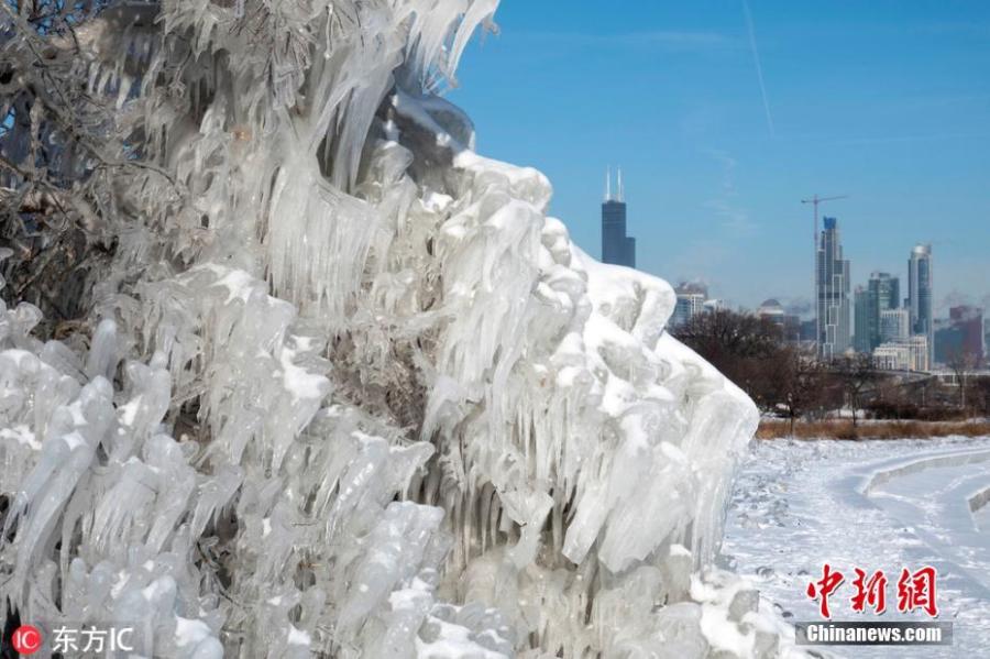 Snow covered trees in Chicago amid the cold front that brought minus 25 degree temperatures. Meteorologists blamed a phenomenon called the polar vortex for the bitter cold that has descended on much of the central and eastern United States this week.(Photo/IC)