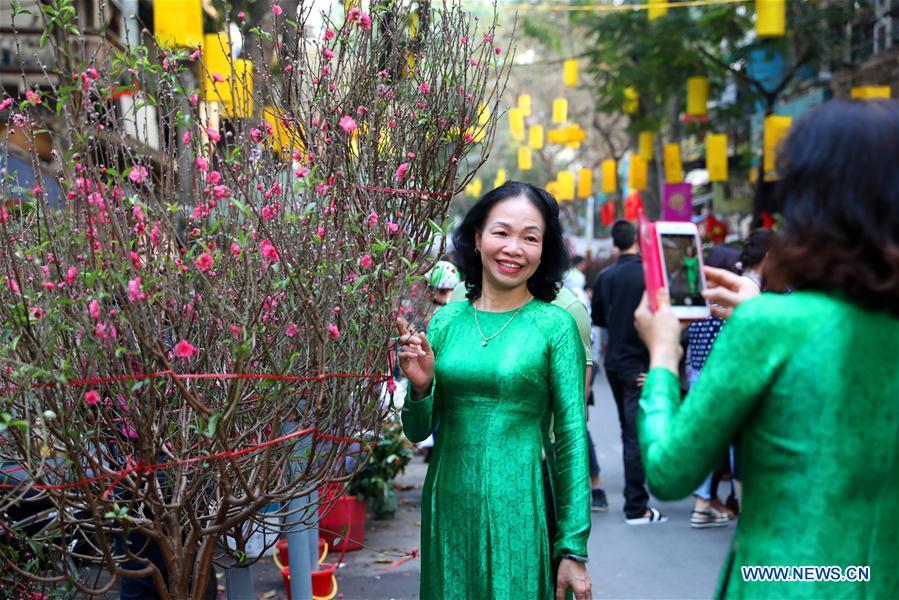 A woman pose for photos with peach blossoms for the upcoming Lunar New Year in Hanoi, capital of Vietnam, Feb. 1, 2019. The Lunar New Year festival, also called Tet in Vietnamese, is one of the long-standing traditions of Vietnamese people. (Xinhua/Wang Di)