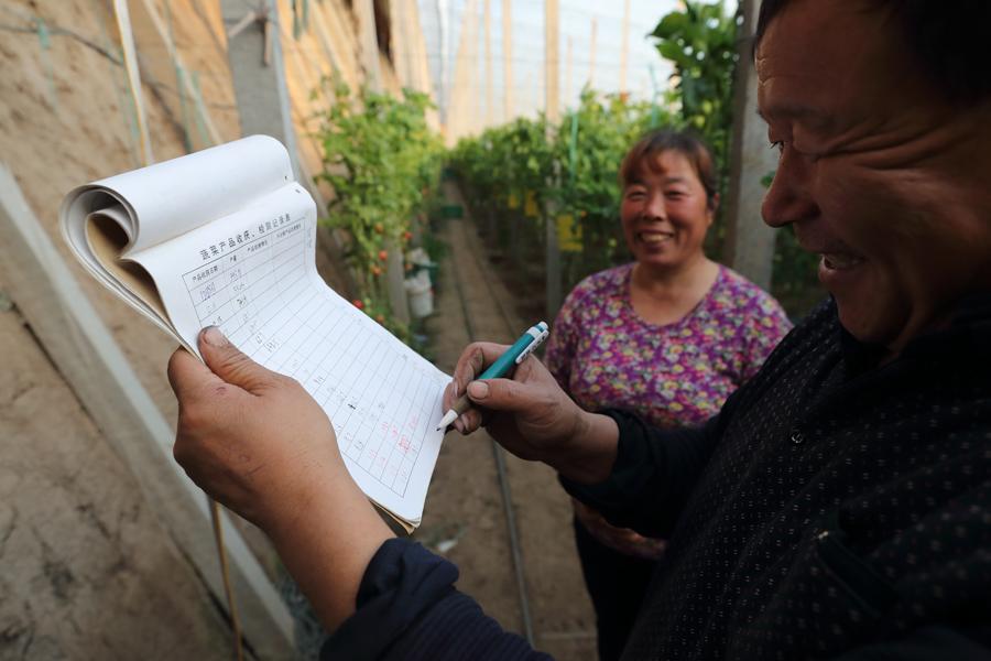 The farmers record the tomato yield right after the harvest. (Photo by WANG JING/CHINA DAILY)