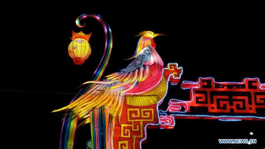 A phoenix-shaped lantern is seen at the Chinese Lantern Festival in Tirana, capital of Albania, on Feb. 1, 2019. Albania joined the celebration of the Chinese New Year, with a ceremony marking the opening of \