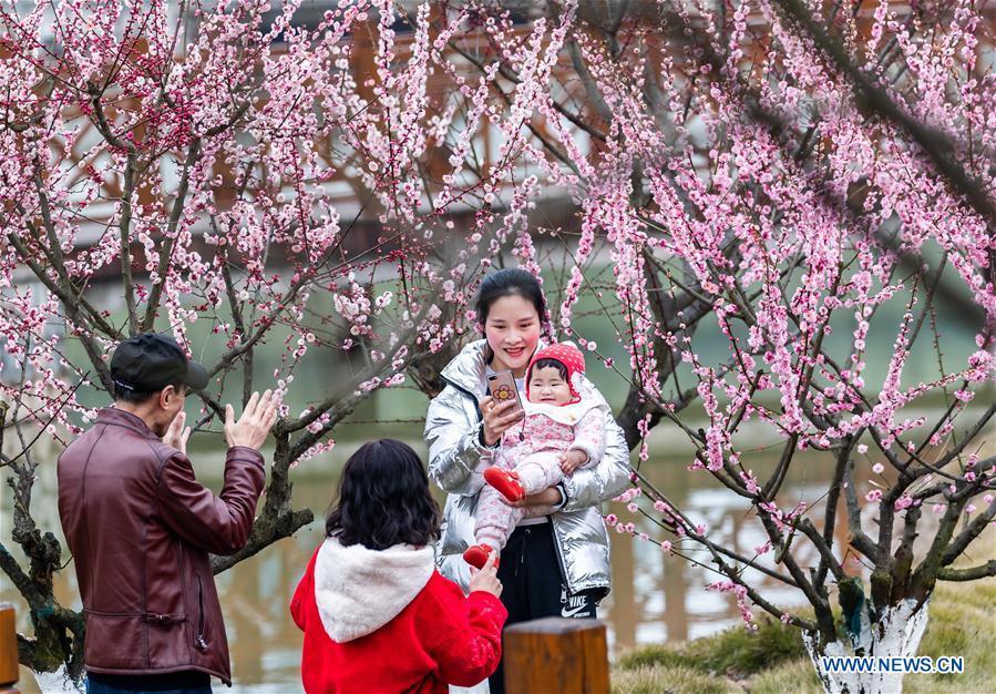 People pose for photos with plum blossoms during Spring Festival holiday at an ecological park in Nanchuan District of Chongqing, southwest China, Feb. 7, 2019. (Xinhua/Qu Mingbin)