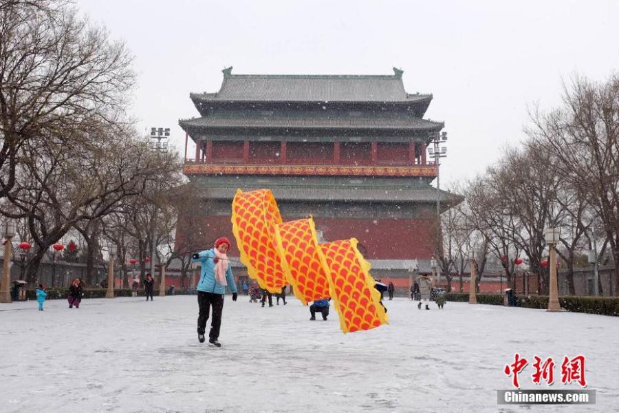 Photo taken on Feb. 12, 2019 shows a snow view in Beijing, capital of China. A snowfall hit Beijing on Tuesday.  (Photo/China News Service)