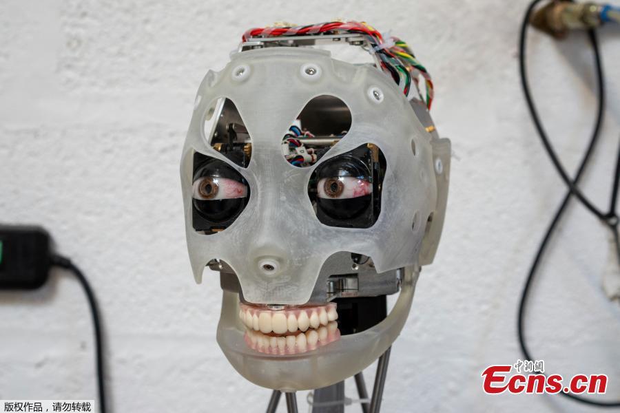 The head of Ai-da, a humanoid robot capable of drawing people from life using her bionic eyes and hand, is seen at the offices of robotics company Engineered Arts, in Falmouth, Cornwall, Britain, Feb. 7, 2019. (Photo/Agencies)