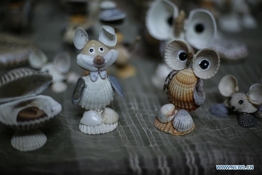 Photo shows art pieces made by Palestinian young man Ahmed al-Madhoun with seashells at his house in Gaza City, on Feb. 10, 2019. A Palestinian young man from Gaza turns seashells into beautiful artifacts that adorn his home to satisfy his passion for this type of art. Using seashells he collects from Gaza beaches, 31-year-old Ahmed al-Madhoun makes various art pieces such as animals, birds and some funny characters. Al-Madhoun, who holds a college degree in radio and television engineering and works for a local telecommunication company, has been collecting multiple forms of seashells from the Gaza seashore for more than four years. The young man began the hobby of seashell art about a year and a half ago, and he already made large numbers of art pieces.  (Xinhua/Stringer)