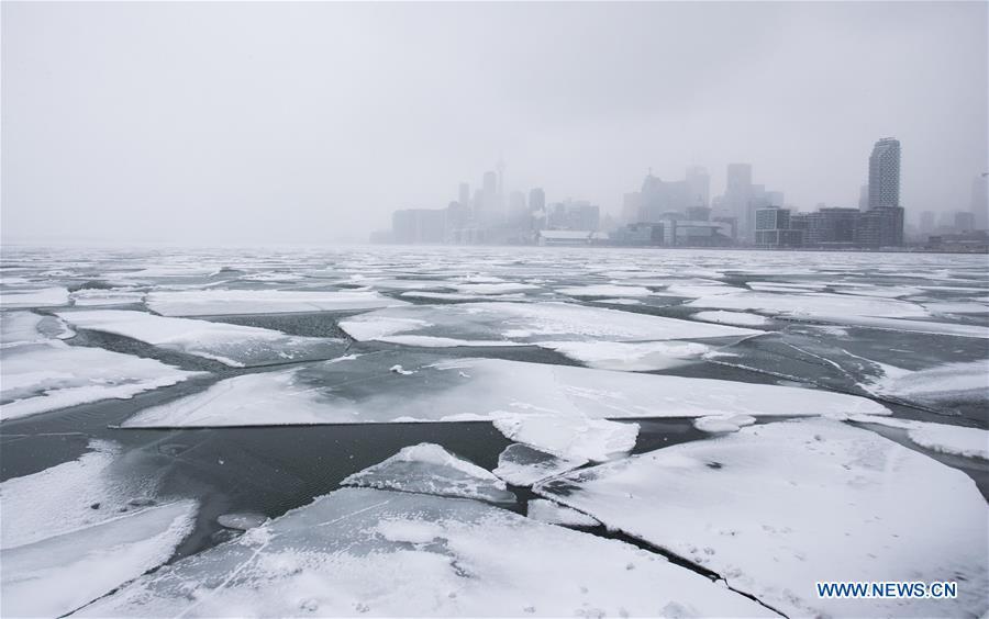 Toronto skyline is seen with floating ice on Lake Ontario in Toronto, Canada, on Feb. 13, 2019. A winter storm of a mix of snow, freezing rain and strong winds hit the Greater Toronto Area from Tuesday to Wednesday. (Xinhua/Zou Zheng)