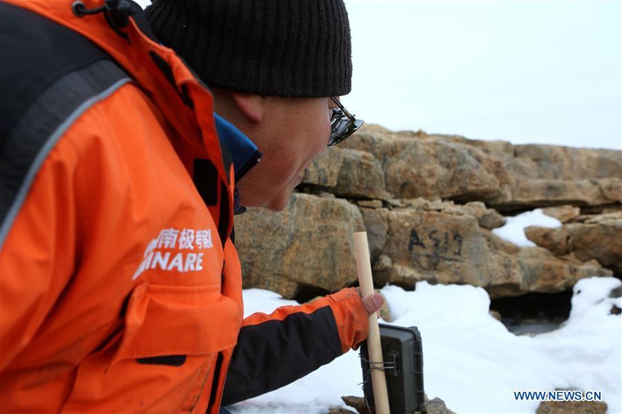 Zhang Zhengwang, a professor from Beijing Normal University and a member on China\'s 35th research mission in Antarctica, monitors on snow petrels near the Zhongshan Station, a Chinese research base in Antarctica, on Feb. 11, 2019. Chinese researchers have begun using infrared cameras to monitor Antarctica\'s snow petrel, a key indicator species of the local marine ecosystem. This is the first time Chinese researchers in Antarctica have used infrared cameras in bird monitoring. (Xinhua/Liu Shiping)