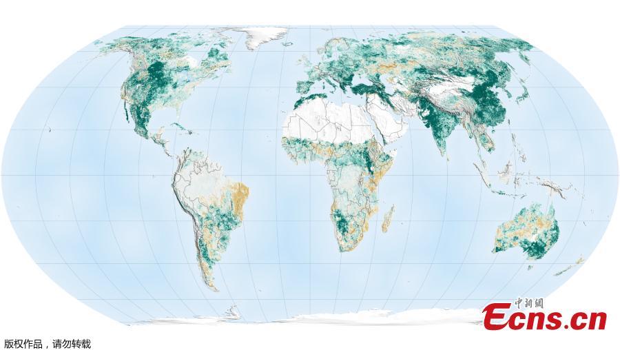 Satellite data show that China and India have led the global increase in leafy coverage in recent years. (Photo/Agencies)