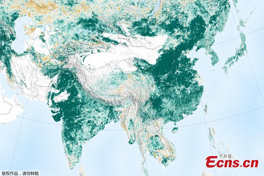 Satellite data show that China and India have led the global increase in leafy coverage in recent years. (Photo/Agencies)

The planet\'s two most populous nations are leading the increase in greenery in large part due to China\'s ambitious programs in tree planting and more efficient agriculture practices, said a study by NASA, published on Feb. 12, 2019 in the journal Nature Sustainability.