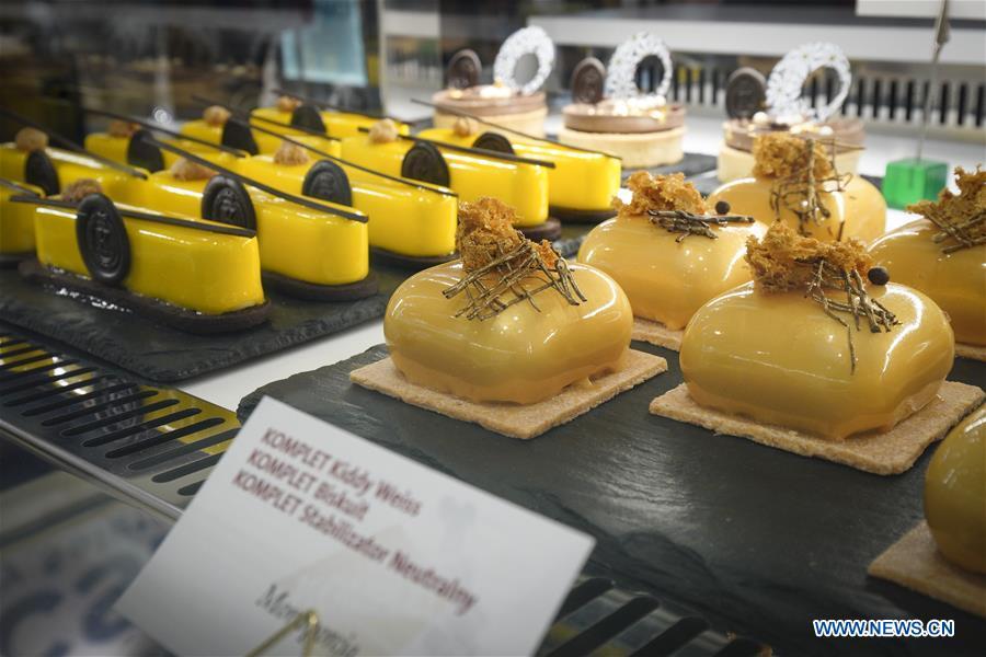 Various kinds of desserts are seen on display at the Expo Sweet in Warsaw, Poland, on Feb. 17, 2019. Expo Sweet, one of the largest confectionery and ice-cream fairs in Poland, is held in Warsaw from Feb. 17 to 20. (Xinhua/Jaap Arriens)