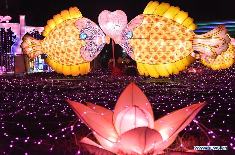 People view colorful lanterns at a relic park in Handan, north China\'s Hebei Province, Feb. 17, 2019. With the approaching of the Lantern Festival, many places across the country are decorated by colorful lanterns. (Xinhua/Hao Qunying)
