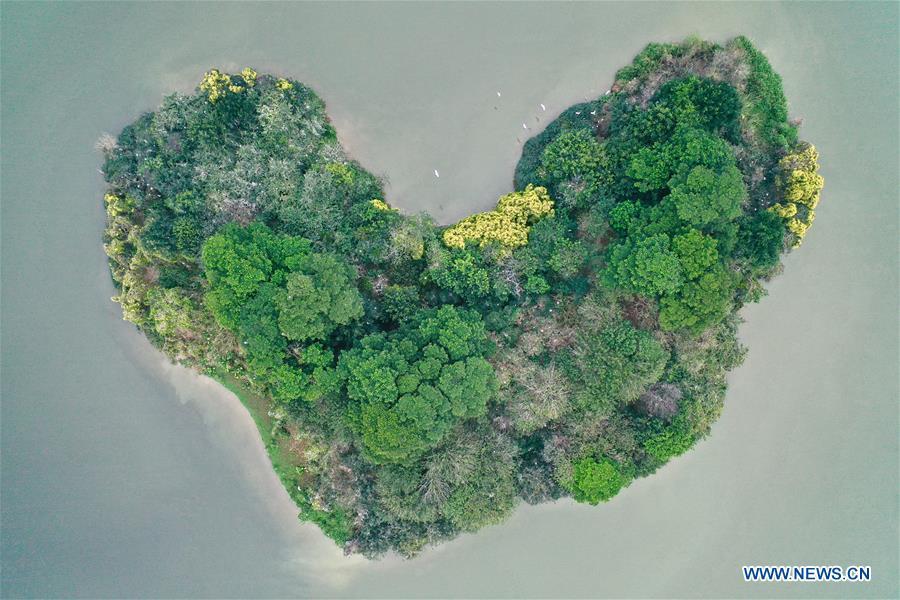 Aerial photo taken on Feb. 21, 2019 shows a heart-shaped island which is the habitat of various bird species at Bihu ecological park in Zhangzhou, southeast China\'s Fujian Province. (Xinhua/Jiang Kehong)