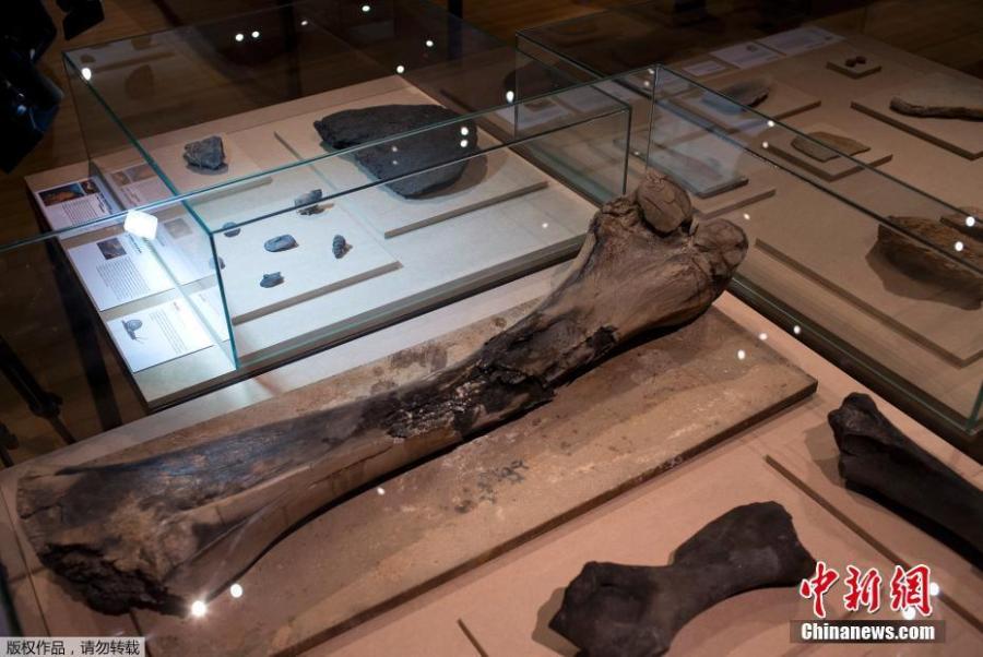 Pieces rescued from the ashes of last year\'s fire at the National Museum are displayed at the Bank of Brazil Cultural Center in Rio de Janeiro, Brazil, Feb. 25, 2019. The exhibit is titled \