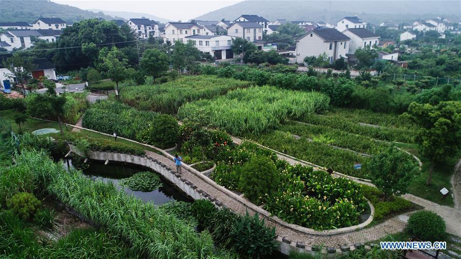 Staff members check water quality at an ecological pond at Jinting Township of Suzhou City, east China\'s Jiangsu Province, July 4, 2018. As \