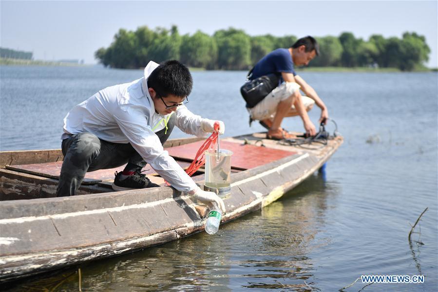 Geng Mingming (L), a scientific staff member, takes sample of lake water in Dongting Lake area, central China\'s Hunan Province, Aug. 25, 2018. As \