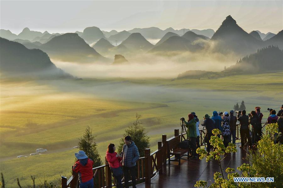 Tourists take photos of the cole flower fields at Luoping County, southwest China\'s Yunnan Province, Feb. 19, 2019. As \