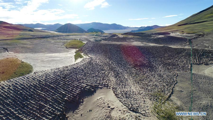 Aerial photo taken on Sept. 8, 2018 shows solidified sand dunes near the source of the Yarlung Zangbo River in Zhongba County of Xigaze, southwest China\'s Tibet Autonomous Region. As \