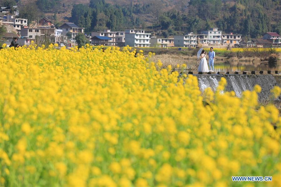 A couple pose for a wedding photo beside cole flower fields at Gonghe Village of Longshan Township in Majiang County, southwest China\'s Guizhou Province, March 3, 2019. People go outside to enjoy the scenery of flowers in blossom as temperature rises in many parts of China in early spring. (Xinhua/Wu Jibin)