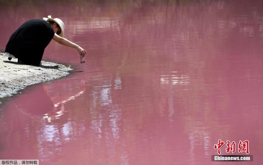 The salt lake of the Westgate Park in Melbourne, Australia, has attracted many visitors after it turned a vivid pink, March 4, 2019.  (Photo/Agencies)