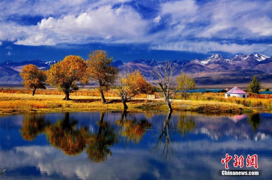 Photo taken on March 5, 2019 shows Euphrates poplar trees in Bayingolin Mongol Autonomous Prefecture, Northwest China\'s Xinjiang Uygur Autonomous Region. (Photo: China News Service/Wang Jianxin)