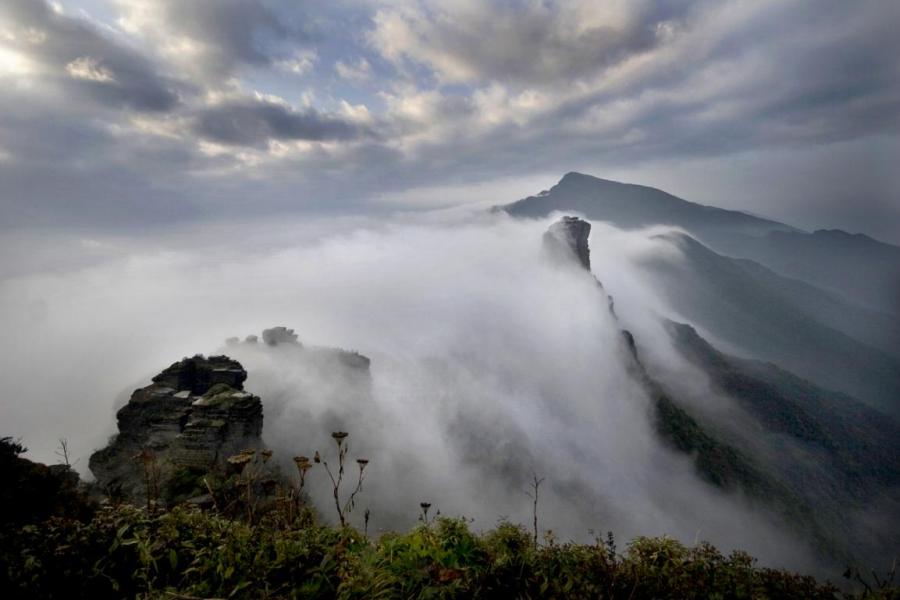 Fanjing mountain is home to an array of wildlife.  (Photo provided to chinadaily.com.cn)