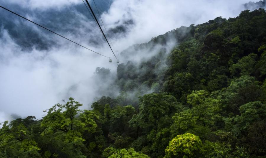 Picturesque scenery of Fanjing Mountain in Southwest China\'s Guizhou Province. (Photo provided to chinadaily.com.cn)