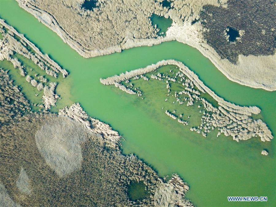 Aerial photo taken on March 7, 2019 shows the view of the Yellow River Delta national natural reserve in Dongying, east China\'s Shandong Province. The Yellow River Delta national natural reserve lies in Dongying City, from where the Yellow River empties itself into the Bohai Sea. In recent years, the natural reserve has been making efforts to protect ecological diversity and restore wetland in order to promote a harmonious coexistence between man and nature. (Xinhua/Wang Nan)