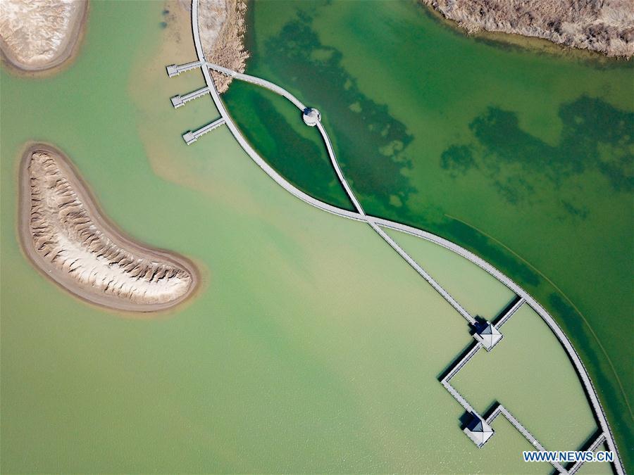 Aerial photo taken on March 7, 2019 shows the view of the Yellow River Delta national natural reserve in Dongying, east China\'s Shandong Province. The Yellow River Delta national natural reserve lies in Dongying City, from where the Yellow River empties itself into the Bohai Sea. In recent years, the natural reserve has been making efforts to protect ecological diversity and restore wetland in order to promote a harmonious coexistence between man and nature. (Xinhua/Wang Nan)