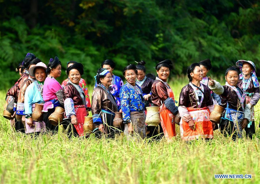 Farmers of Miao ethnic group attend a crop reaping contest during a purple glutinous rice cultural festival in Dali Village of Liangzhai Township in Rongshui Miao Autonomous County, south China\'s Guangxi Zhuang Autonomous Region, Oct. 12, 2018. China\'s efforts and success in poverty reduction can help other developing nations, said experts observing the country\'s ongoing Two Sessions. The Two Sessions refer to the annual gatherings of the National People\'s Congress (NPC) and the National Committee of the Chinese People\'s Political Consultative Conference, China\'s top legislature and political advisory body respectively. China has emerged as a global role model with efforts in structural transformation and industrial upgrading, lifting hundreds of millions of people out of poverty, said retired Lieutenant Colonel Muhammad Faruk Khan, a presidium member of Bangladesh\'s ruling Awami League. (Xinhua/Huang Xiaobang)