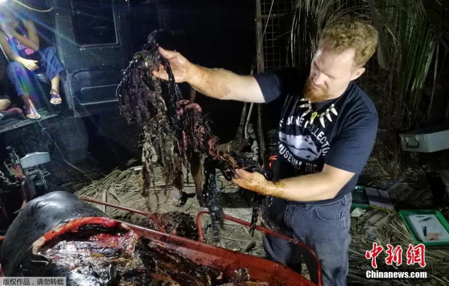 Photo taken on March 16, 2019 shows plastic waste found in the stomach of a Cuvier\'s beaked whale in Compostela Valley, Davao on the southern Philippine island of Mindanao. A starving whale with 40 kilos (88 pounds) of plastic trash in its stomach has died after being washed ashore in the Philippines, activists said on March 18, calling it one of the worst cases of poisoning they have seen. (Photo/Agencies)