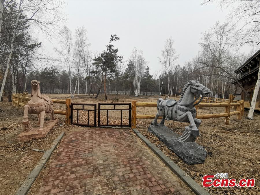 A view of the Cao Yuan, Cao\'s Garden, built illegally inside a state-owned tree farm in Mudanjiang City, Northeast China\'s Heilongjiang Province, March 20, 2019. Without approval, a company felled many trees and started construction of the complex in 2005, investing more than 100 million yuan ($14.9 million) in the project. Although the local land and resources bureau has demanded three times that the complex to be demolished and the developer pay fines, construction of pavilions and other structures has continued for many years, and samples of more than 20 species of wild animals and plants have also been displayed inside, until a recent media report went viral online. The city has formed a work committee to thoroughly investigate the case, according to Zhang Weiguo, the deputy mayor of Mudanjiang. (Photo/VCG)