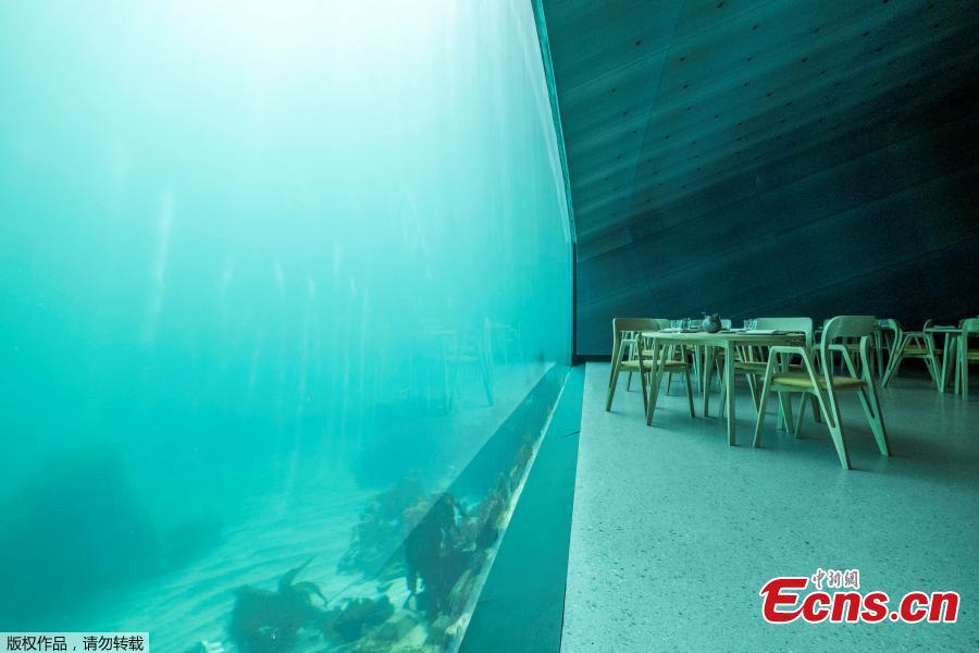 Photo shows the interior view of the restaurant named Under, that is semi-submerged beneath the waters of the North Atlantic in Lindesnes near Kristiansand in Oslo, Norway, March 19, 2019. (Photo/Agencies)