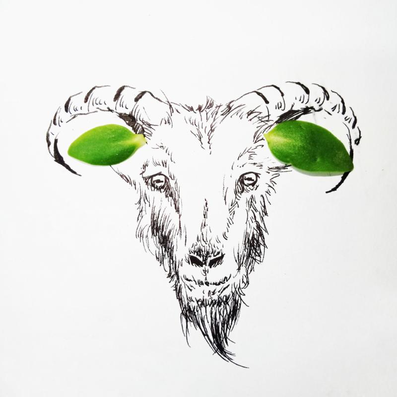 The goat\'s ears are replaced by two olive green leaves in the creative painting created by students from Lanzhou Jiaotong University in Northwest China\'s Gansu Province, March 2019.